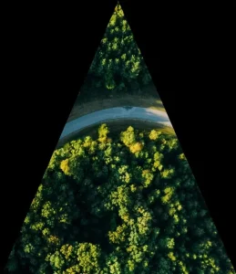 Carbon Reduction Strategies